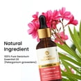 thumbnail image 3 of Khadi Organique Geranium Essential Oil for Anti-Acne & Stress Relief | Calming & Soothing - 15 ml, 3 of 5