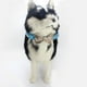 thumbnail image 4 of Collar de moda de cuero chapado en diamante con anillo para marcar perros, gatos, cachorros y gatitos para un paseo MFZFUKR CPB-US-YY59-2, 4 of 5