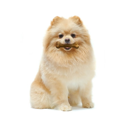 Nylabone Healthy Edibles Petite Roast Beef, Bacon, and Chicken Variety Pack