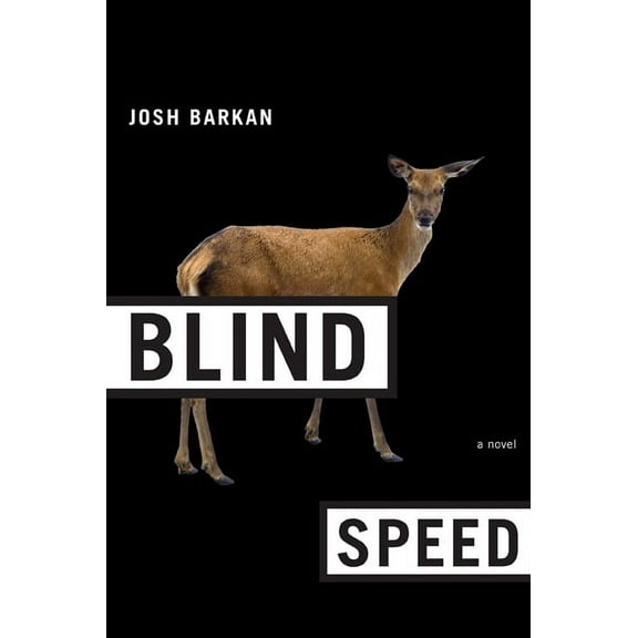 Blind Speed : A Novel (Paperback)