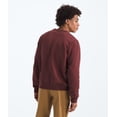 thumbnail image 2 of Sudadera The North Face Evolution Simple Dome Sumac XS, 2 of 4