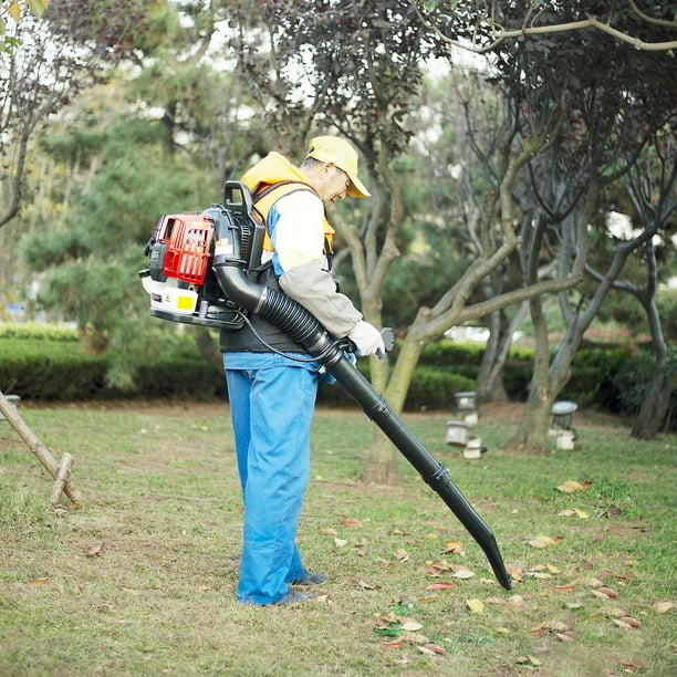 Backpack leaf blower near me deals