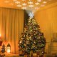 thumbnail image 5 of Copo de nieve Euvinev para adornar el árbol de Navidad con luces giratorias, 5 of 7