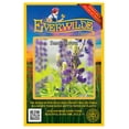 thumbnail image 1 of Everwilde Farms - 140 Small Lupine Native Wildflower Seeds - Gold Vault Jumbo Bulk Seed Packet, 1 of 3