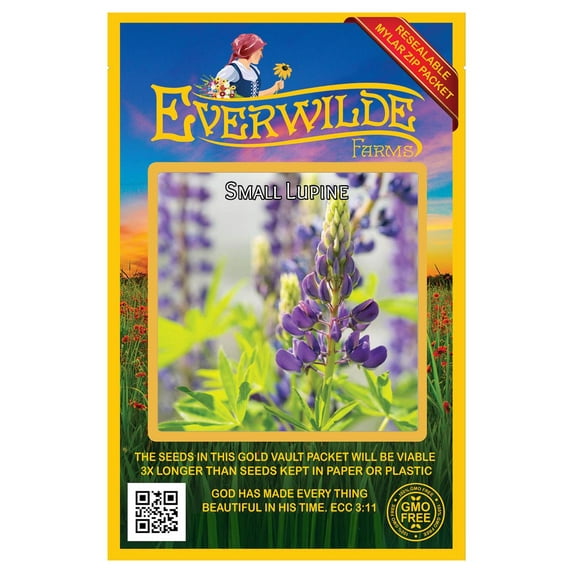 Everwilde Farms - 140 Small Lupine Native Wildflower Seeds - Gold Vault Jumbo Bulk Seed Packet