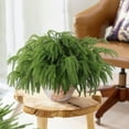 thumbnail image 3 of 2pc Christmas Norfolk Pine Branches,18" Christmas Norfolk Pine Stems Real Touch Artificial Pine Branches Faux Christmas Greenery Stem,Fake Pine Branches for Vase Dly Crafts Indoor Outdoor Home Decor, 3 of 5