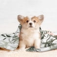 thumbnail image 4 of Disketp Vintage Palm Trees Dog Blanket/Bed Cover for Dogs and Cats,Puppy Essentials-Large, 4 of 8