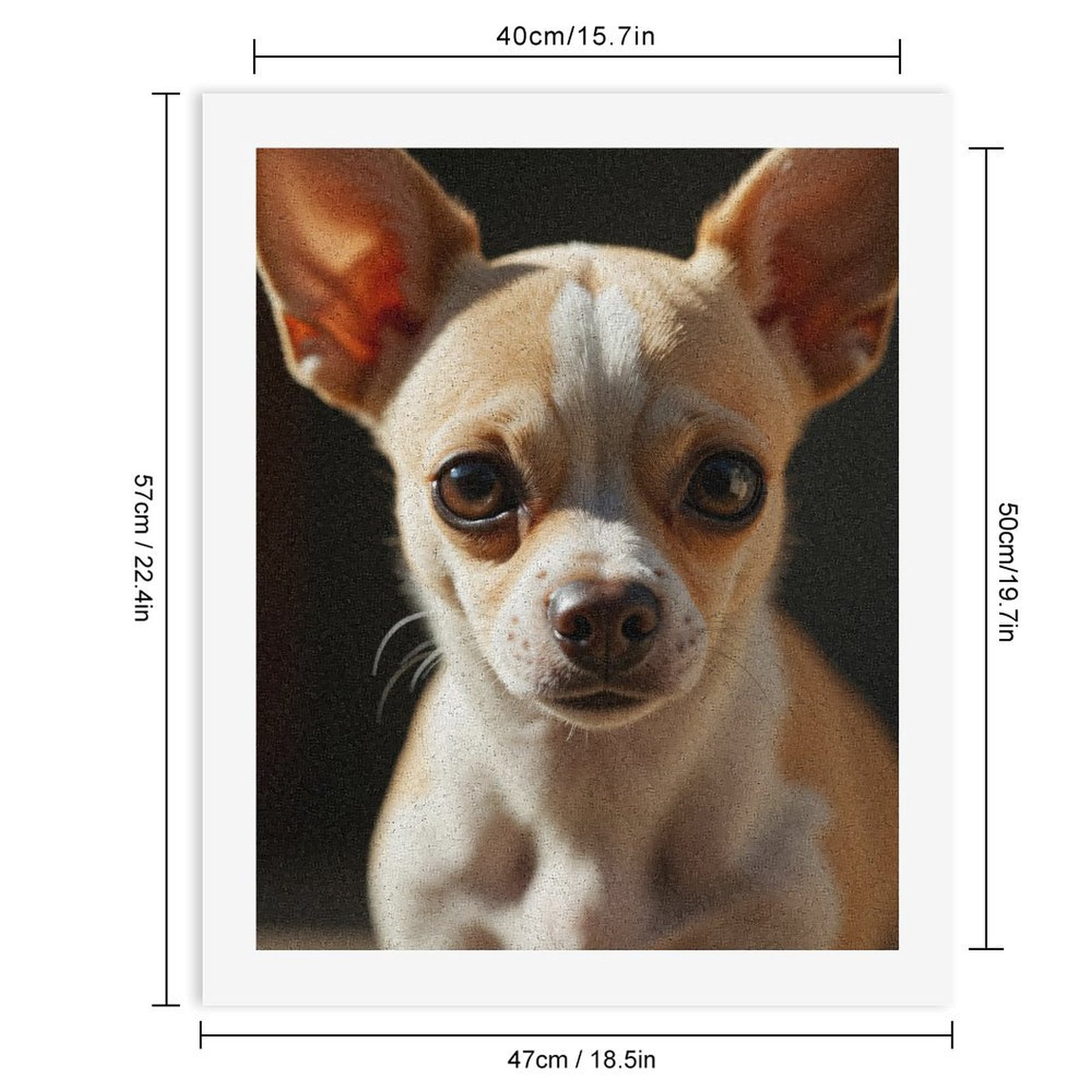 Paint By Numbers Kit for Adults Beginner - DIY Small Cute Dog Big Eyes Canvas Painting Kits for Adults, Frameless Paint By Number for Adults for Home Wall Decor 16x20 Inch