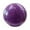 Violet, variant on Gymnastics Ball Dance Practice Core Training PVC Material for Kids Home Exercise Workouts 7.09inch