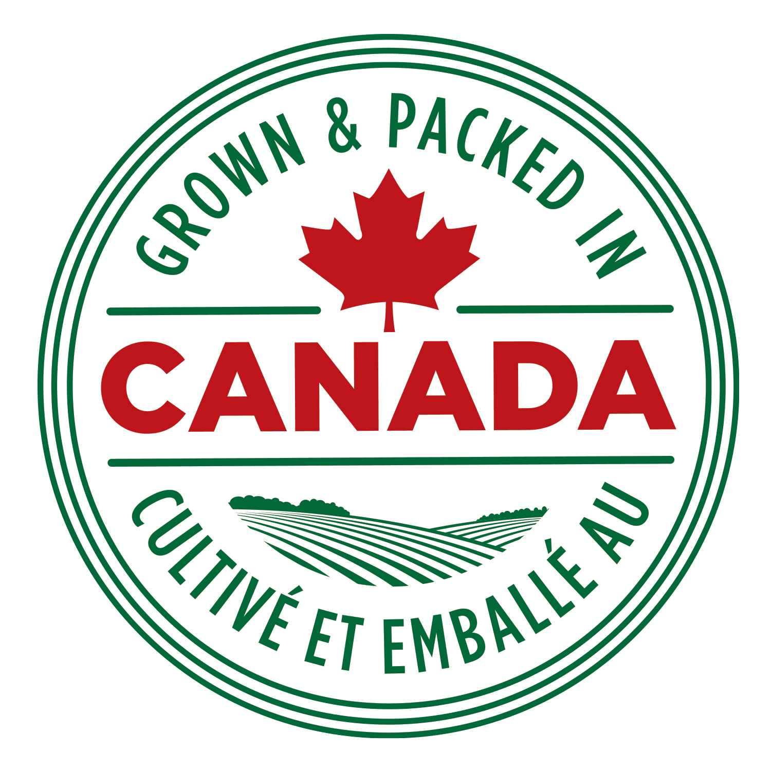 Maïs à grains entiers très sucré deux couleurs Géant Vert 750 g