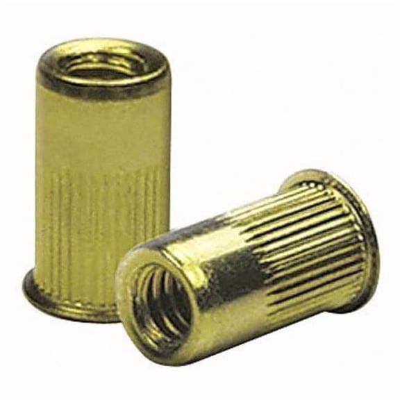 Rivet Nut, 1/4"-20 Thread Size, 0.455 in Flange Dia., 0.58 in L, Steel, 50 PK