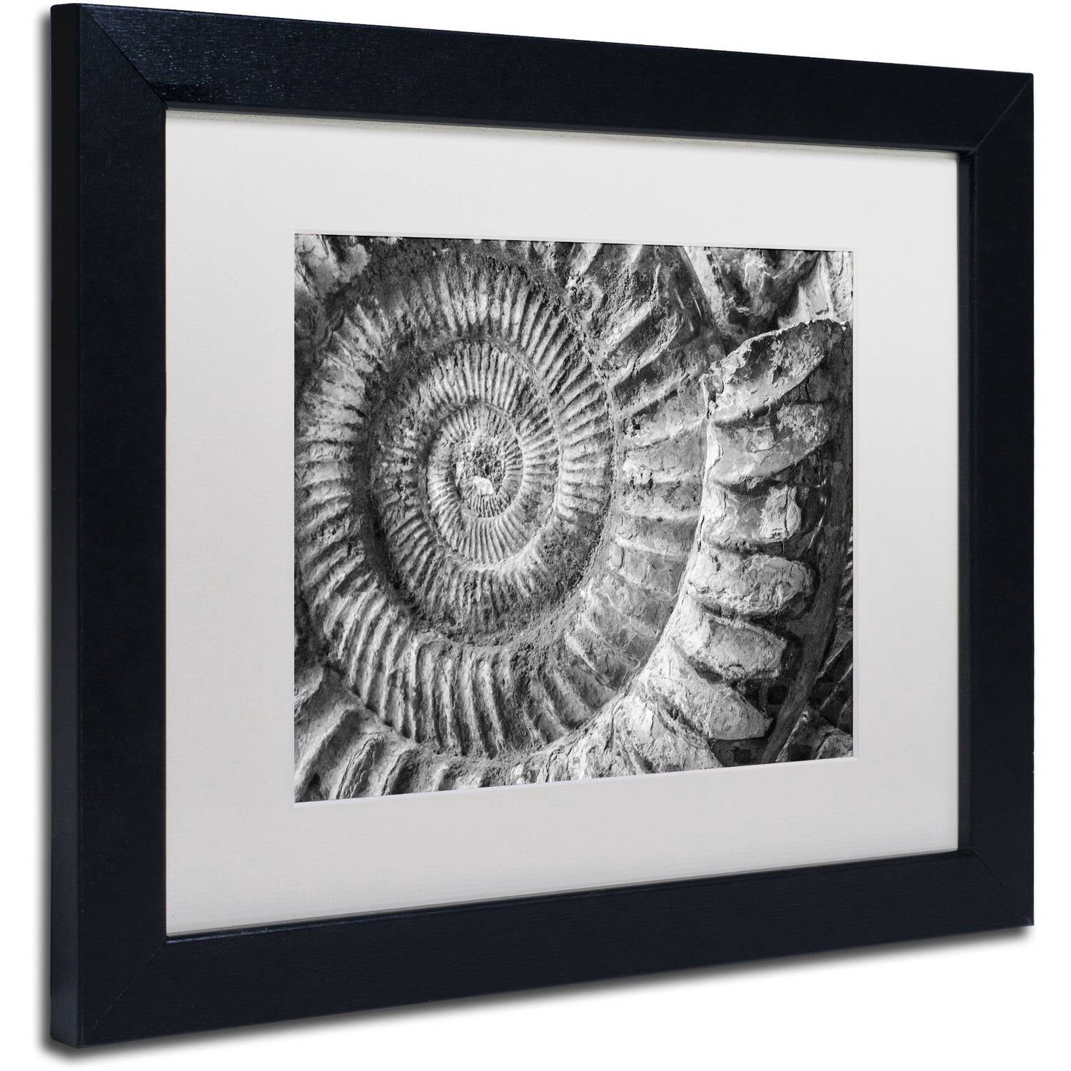 Trademark Fine Art "Amonita 1" Canvas Art by Moises Levy White Matte, Black Frame