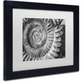 thumbnail image 2 of Trademark Fine Art "Amonita 1" Canvas Art by Moises Levy White Matte, Black Frame, 2 of 3