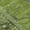 Olive, variant on Addison Rugs Chantille Indoor/Outdoor Traditional Global Blush Machine Washable Rectangle Rug, 1'8" x 2'6"