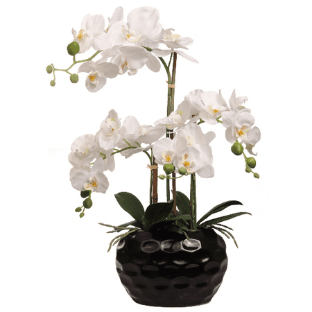 White Orchid Flower Arrangement in Vase 20    20 Detailed Silk Orchid Flower Heads  Decorative Black Ceramic Vase  Vibrant Green Foliage 19 Inch Phalaenopsis Orchid Floral Home Arrangement in Decorative Black Ceramic Vase. Each arrangement features 20 Detailed Silk Orchid Flower Heads  Decorative Black Ceramic Vase  Vibrant Green Foliage  Realistic Soil  Roots and Green Bulbs. A modern black circular ceramic vase will complement any decor. Great for the home  business  events  medical offices  waiting areas! Truly  you can feature this silk arrangement anywhere!