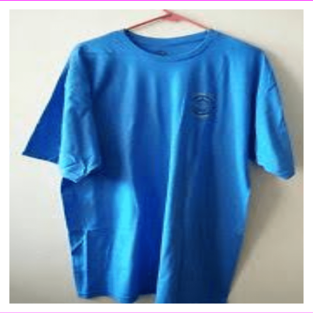 hang ten brand shirts