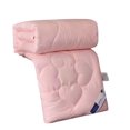 thumbnail image 1 of Toystoory Edredones de algodón cálido para todas las estaciones edredón sólido doble colcha transpirabilidad manta dormitorio Otoño Invierno verano Juegos de cama Jade verde Toystoory HA072652-02, 1 of 5