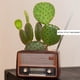 thumbnail image 5 of Adorno Creativo En Forma De Radio, Maceta De Flores De Radio De Estilo Retro, Maceta Suculenta De Resina En Forma De Radio Multifunción Para Mesa De Escritorio Serendint HA015604-00, 5 of 7
