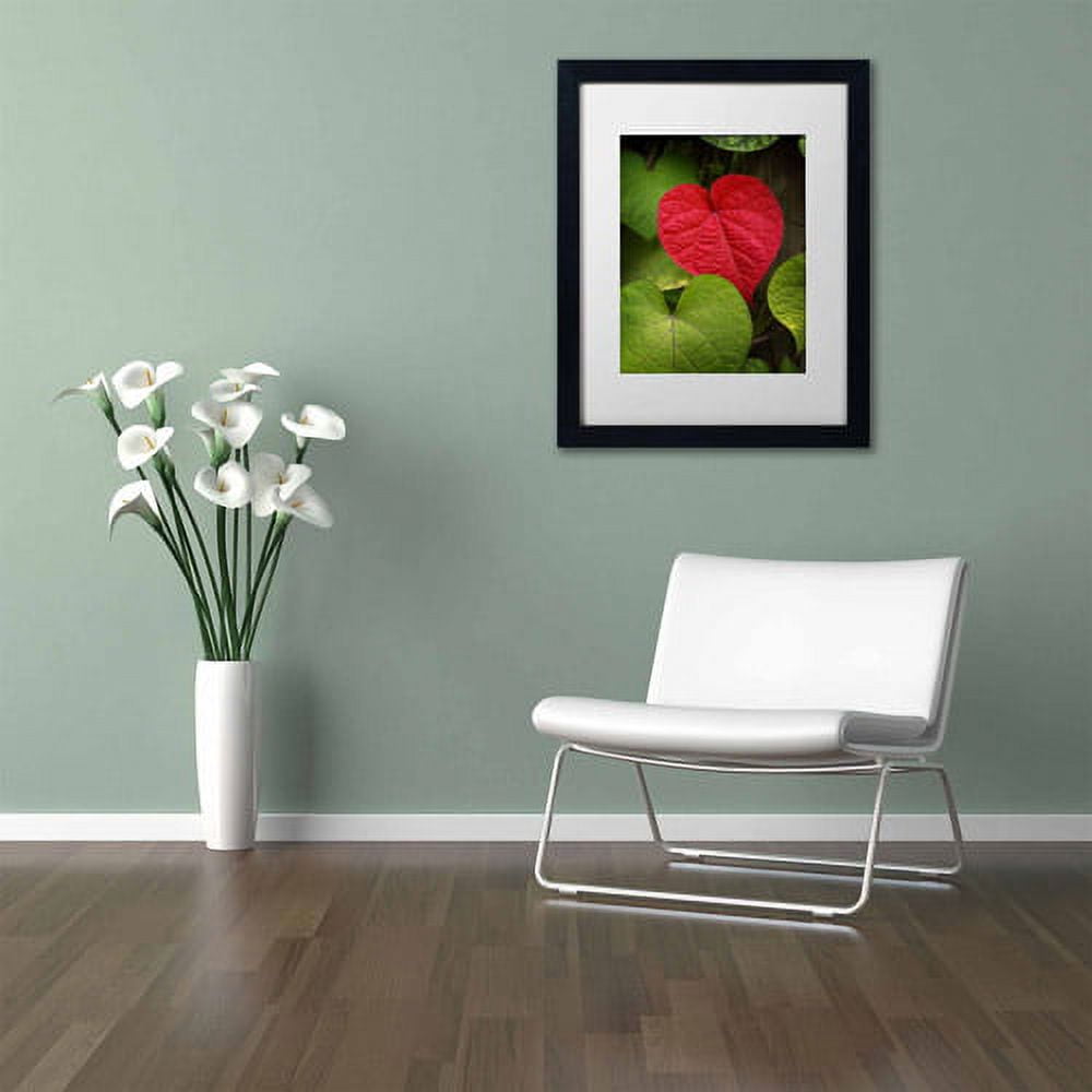 Trademark Fine Art "Heart to Take" Canvas Art by Philippe Sainte-Laudy, White Matte, Black Frame