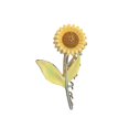 thumbnail image 3 of Elegant Metal Flower Hairpin for Women Non- Sunflower Design Hair Accessories for Long and Thick Hair Stylish Flower Shaped Clips for Girls, 3 of 9