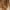 Beige, variant on RbCulf 2024 Fall Winter Knit Cardigan Clearance Womens Long Sleeve Cable Sweaters Outwear Open Front Button Chunky Cardigans Jackets Coats