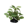 thumbnail image 2 of Clearance Items: Water Plant Ornaments - Limited Stock, By Meiiso, 2 of 7