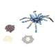 thumbnail image 4 of Modelo de ciclo de crecimiento Modelo de ciclo de vida Modelo de ciclo de crecimiento de araa ModeloCiclo de crecimiento de araa, modelo de ciclo de crecimiento de 4 piezas, modelo de insecto, juguete LHCER No, 4 of 5