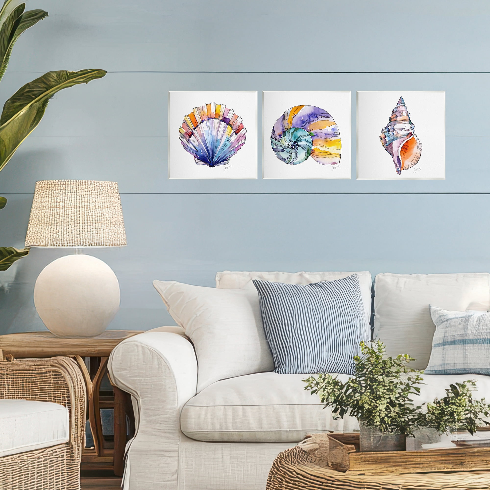 Stupell Industries Sunlit Seashells Watercolors 3 Piece Wall Plaque Art Set, design by Shelly Craig