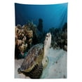 thumbnail image 3 of Ambesonne Under the Sea Tablecloth Rectangular Table Cover, Turtle Coral Reef, 60"x84", Brown Coconut Aqua, 3 of 4