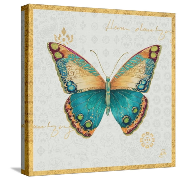 Art.com Bohemian Wings Butterfly VIA Stretched Canvas Print Wall Art by Daphne Brissonnet, 16" x 16"