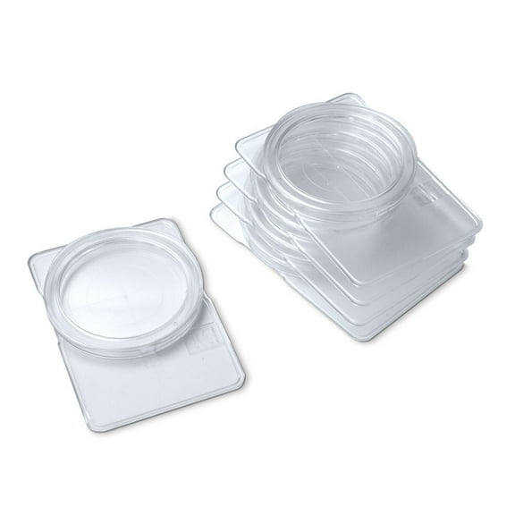 Petrislides, Pack Of 5