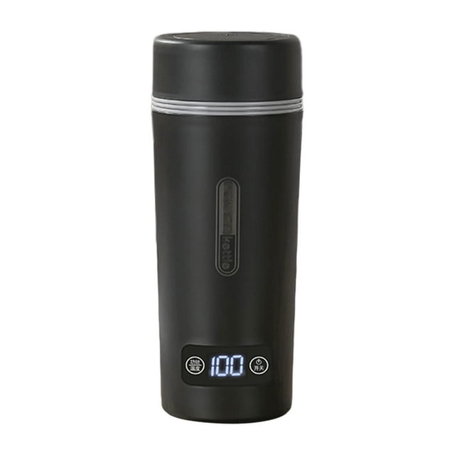 DOLITY Bouilloire Portable 350ml Arrêt Automatique Isolée 4 Températures Réglables Eau Chaude Noir