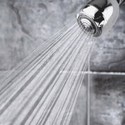 Niagara Conservation Earth Spa 3-Spray with 1.5 GPM 2.7-in. Wall Mount Adjustable Fixed Shower Head - Chrome