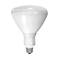 GE Heat Lamp, Incandescent, 250 Watts, BR40 Indoor Floodlight Bulb (1