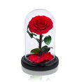 thumbnail image 1 of Rosas preservadas hechas a mano en cúpula de cristal, regalos del día de San Valentín para ella, rosas rojas reales que duran más de un año, rosas de cristal eternas, 1 of 5