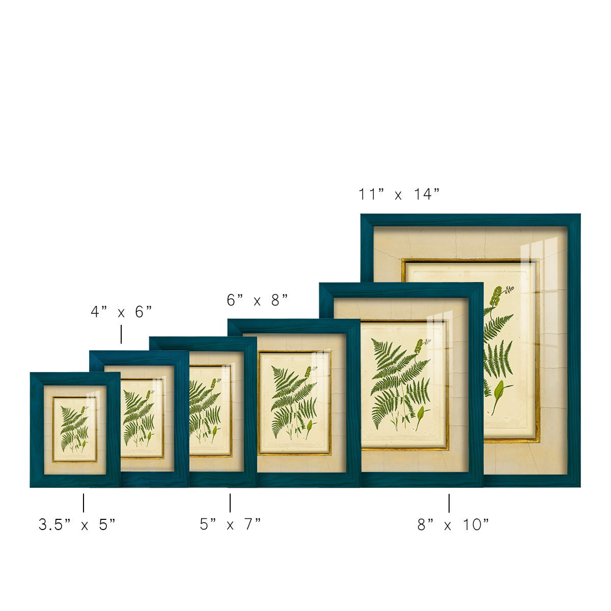Fern with Crackle Mat (H) IV - Framed Print w/glass - Ocean Blue