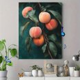 thumbnail image 4 of Qisvanset 12x16 Inch Vintage Peach Branch Canvas Wall Art, Rustic Fruit Aesthetic Art Decor for Farmhouse Kitchen, 4 of 8