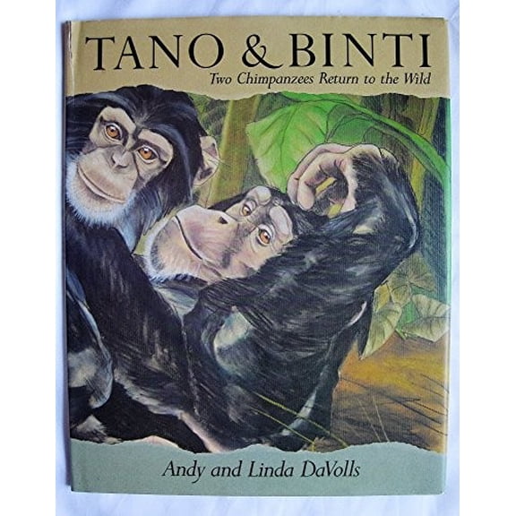 Pre-Owned Tano and Binti