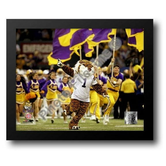 Louisiana State University, LSU Tiger Mascot 2008 14x12 Framed Art Print