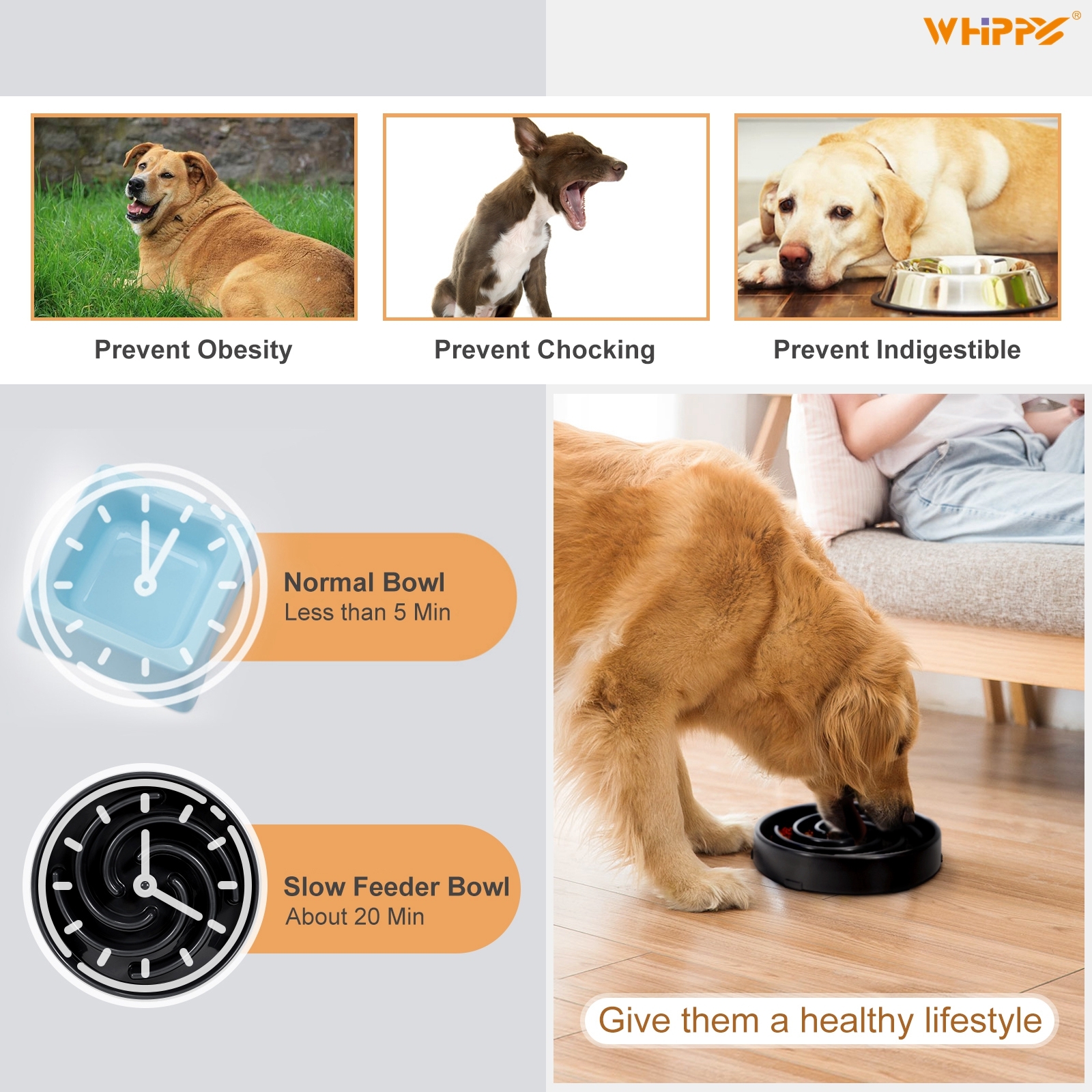 Whippy Slow Feeder Dog Bowl Black photo 2