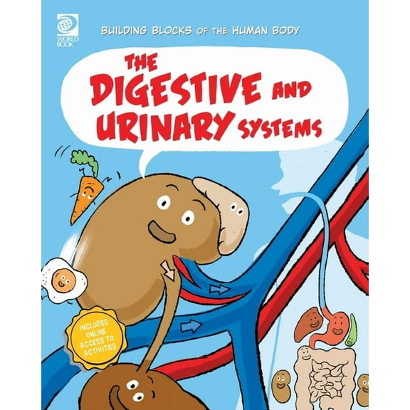The Digestive and Urinary Systems, (Paperback)
