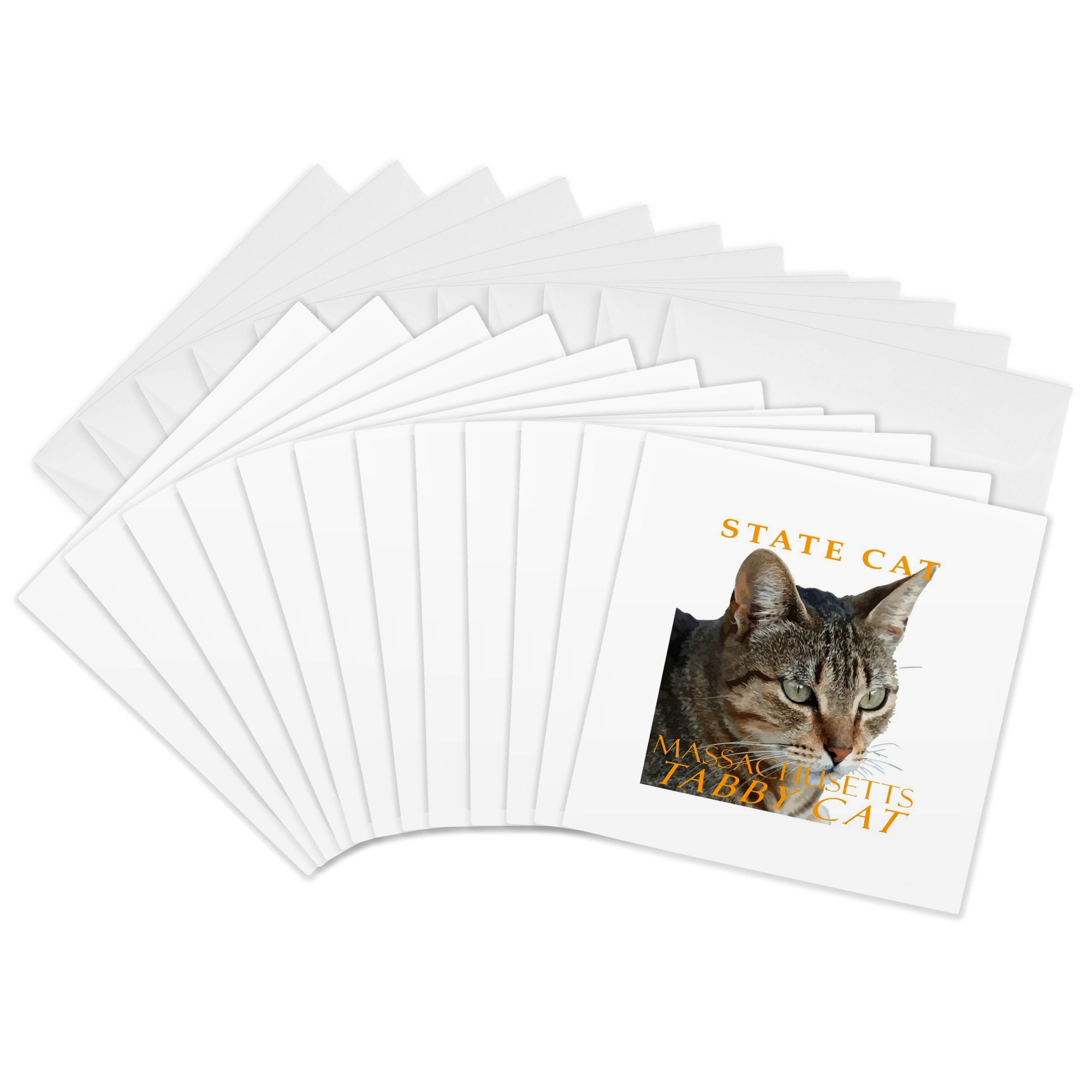 3drose Massachusetts Territory Cat the Stunning Tabby Cat 12 Greeting Cards with Envelopes