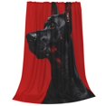 thumbnail image 2 of Fuzoiu Black Dog Red Background Print Ultra-Soft Micro Fleece Blanket,All Seasons Flannel Throw, Lightweight Blanket for Bed, Sofa, Couch, Movie Night, Camping, and Travel-50"x40", 2 of 7