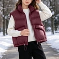 thumbnail image 5 of StSilkitty Puffer Vest for Boys Girls Zip up Sleeveless Stand Collar Jacket Coat Fall Winter Warm Outerwear with Pockets, 5 of 9