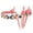 Pink, variant on Cashel Beaded Nose Rope Halter with Lead - Chocolate