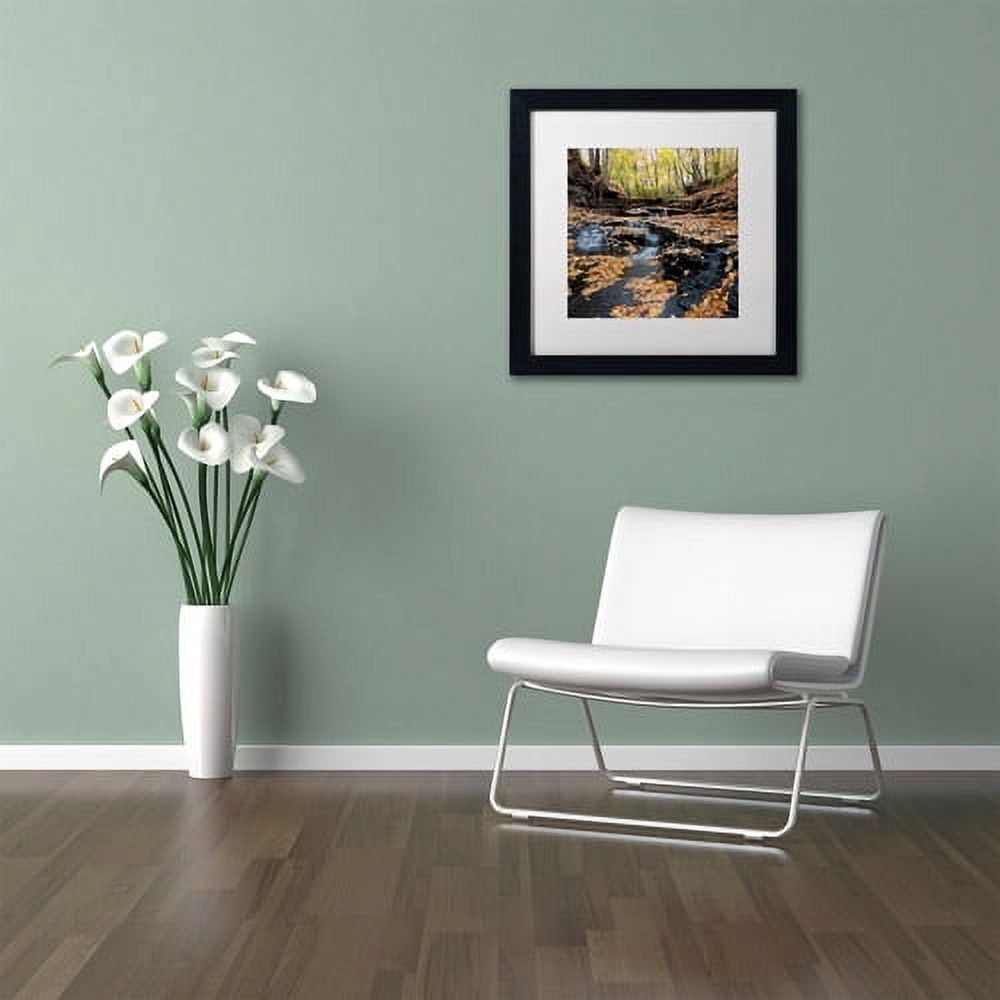 Trademark Fine Art "Lakeview Autumn Falls" Canvas Art by Kurt Shaffer White Matte, Black Frame