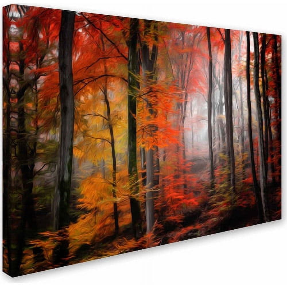 Trademark Fine Art "Wildly Red" Canvas Art by Philippe Sainte-Laudy