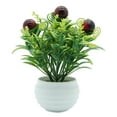 thumbnail image 2 of SPRING PARK Artificial Plants Bonsai Fruit Tree Pot Plant Fake Flowers Potted Ornament, 2 of 7