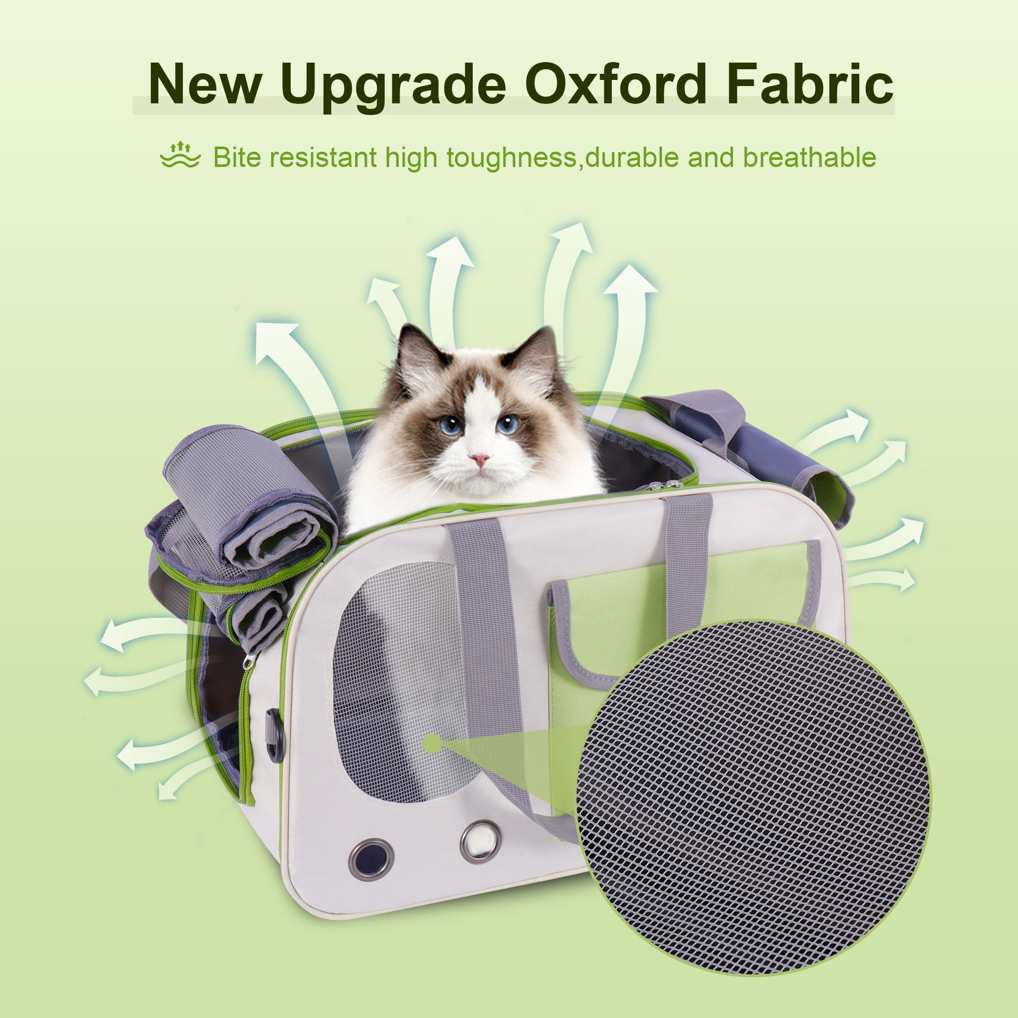 Airport approved cat carrier 2025