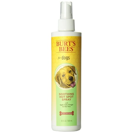 Burt’s Bee Soothing Hot Spot Spray for Dogs, 10 (Best Hot Spot Spray For Dogs)